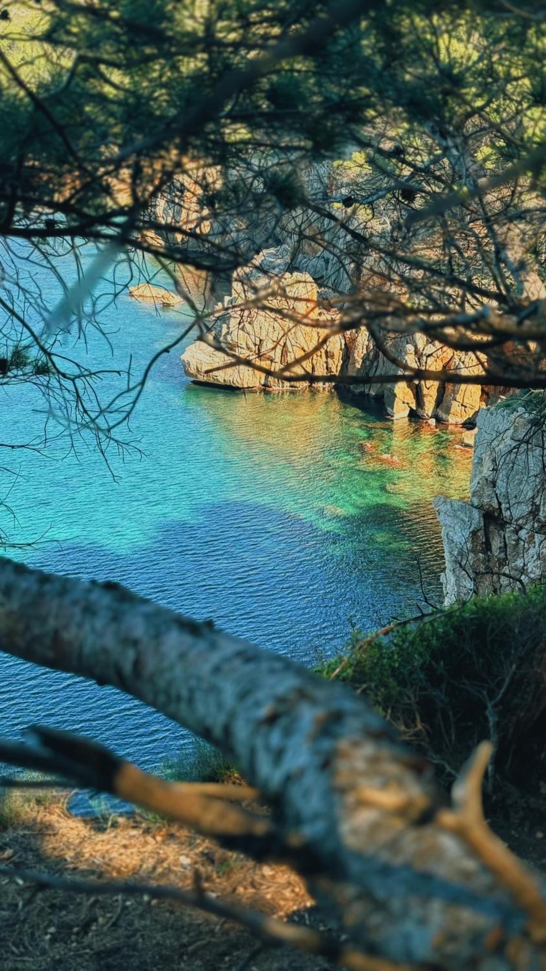Can Romy Appartement T1 C - A 80M De La Plage De Cala Montgo L' Escala Buitenkant foto